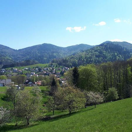 Ferienwohnung Schwarzwaldblick Buhlertal Exterior photo