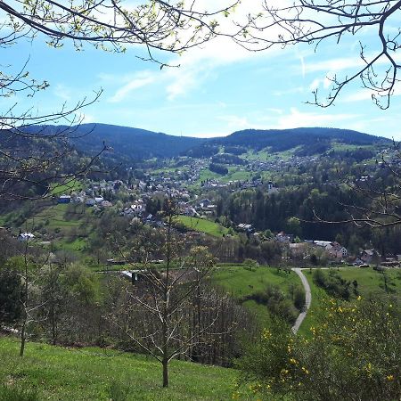 Ferienwohnung Schwarzwaldblick Buhlertal Exterior photo