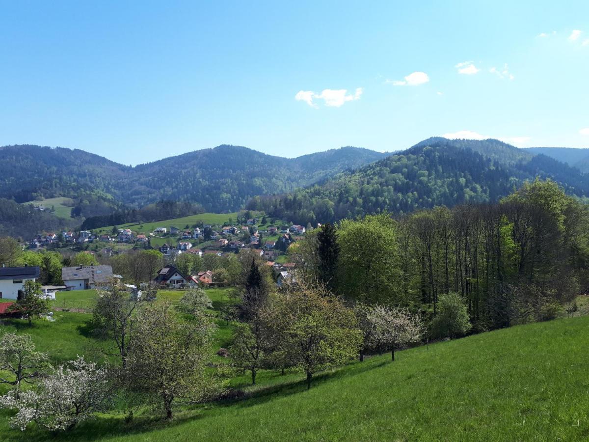 Ferienwohnung Schwarzwaldblick Buhlertal Exterior photo