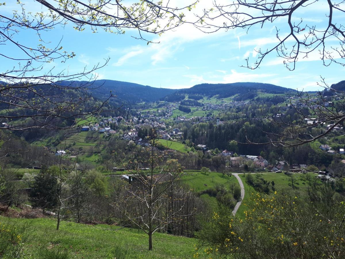 Ferienwohnung Schwarzwaldblick Buhlertal Exterior photo